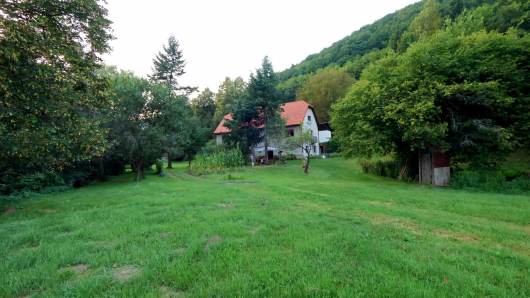 Predm dom s vekm pozemkom v lese.